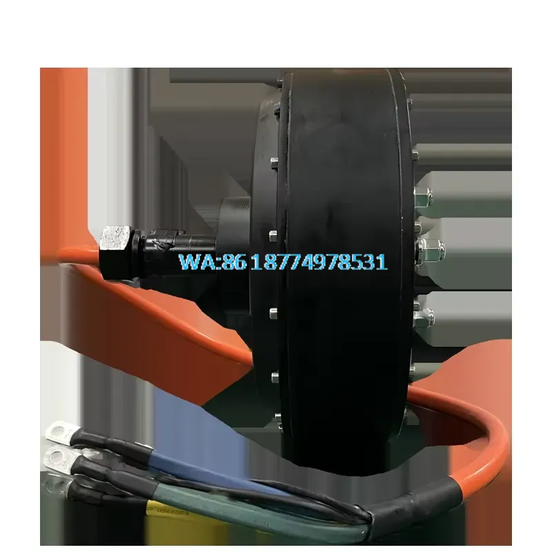 Wmwmnu for QS 273 8000W 72V 50 - Qs Motor 273 8000W Hub Motor 评论和价格